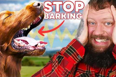 How To Stop Your Dog Barking - You Can Do This Right Now