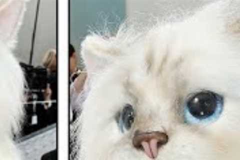 Top 10 Met Gala Fails that Happened live - Part 2.