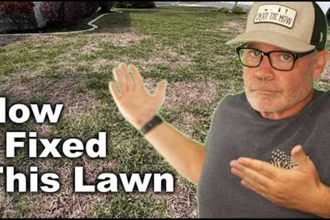 St Augustine Grass Project :: 4 Month Update