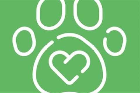 FREE DOG TRAINING TIPS | Confidence Building | Puppy Training | Dog Trainers in Maine