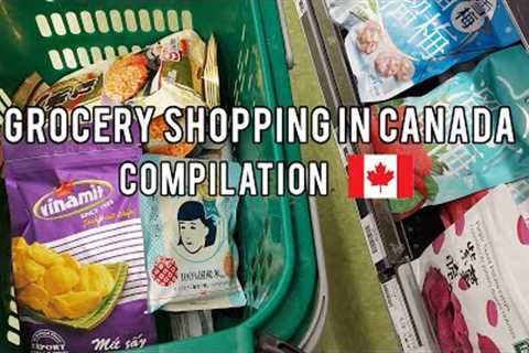 Grocery haul vlog in Canada 🛒Summary of realistic grocery shopping, grocery with me.