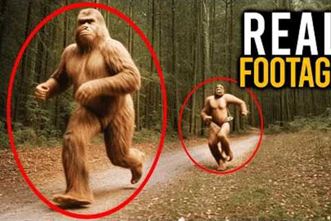 Most Disturbing Trail Cam Footage No One Was Expecting