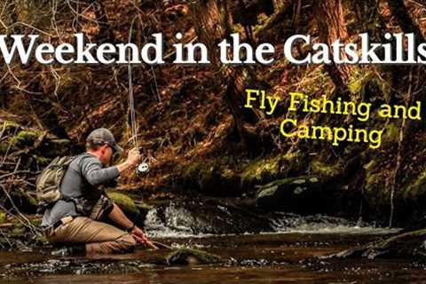 Fly Fishing and Camping in the Western Catskills - Wild Trout