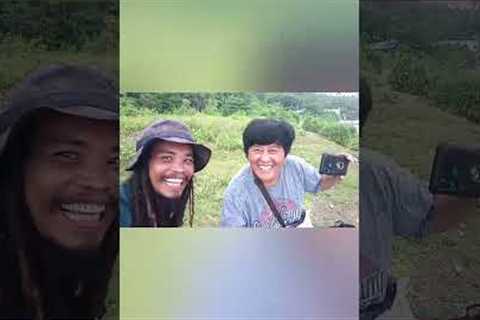 4th discovery a new site for scuba diving and free dive tour with dreadlocks diver and siquijor tour