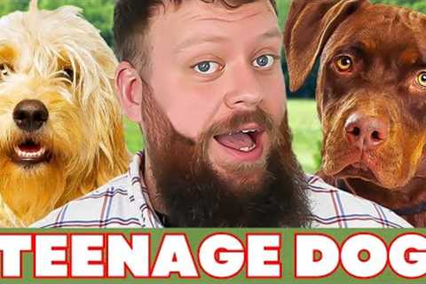 Mistakes Training Dogs In 'Teenage Phase'