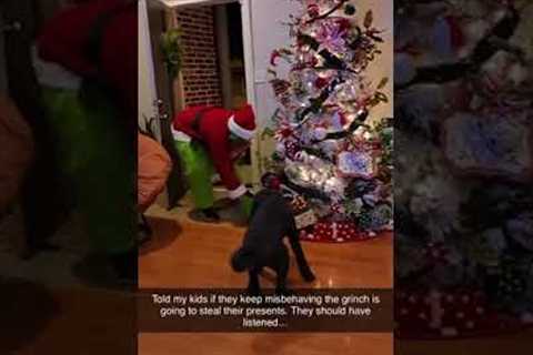 The Grinch Stole Presents