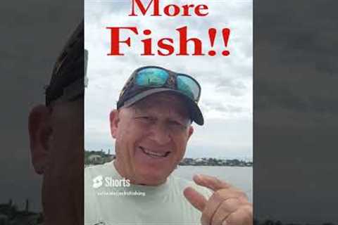 How to catch Saltwater fish!! Tackle, lures, tides, what to look for, where to fish.