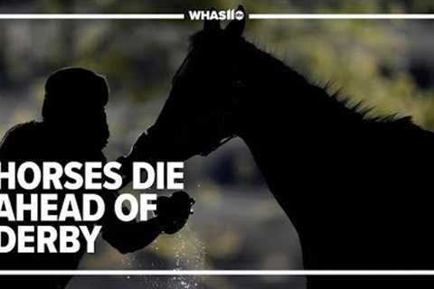 Churchill Downs calls horse deaths 'completely unacceptable'