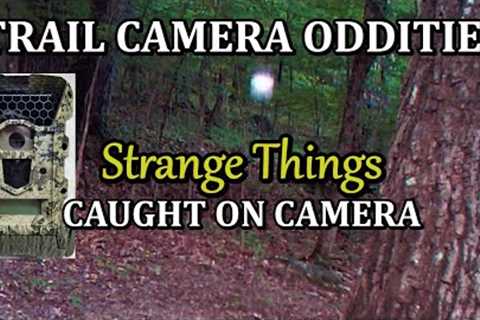 Trail Camera Oddities of Strange Things Caught on Camera