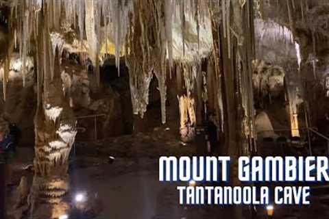 Travel Vlog - A Taste Of The Tantanoola Cave.