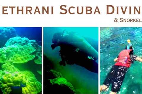 Nethrani Island Scuba Diving || Snorkeling || Best in Karnataka || Murdeshwara|| All Details