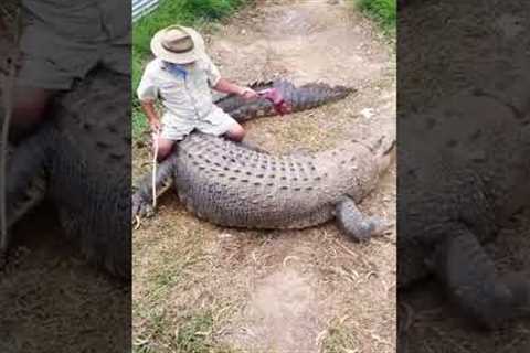 Rare Human Animal Friendships Pet Friendly