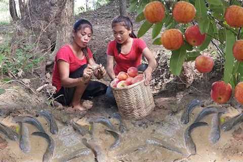 Survival skills: Catch catfish and Pick wild red apple for food in forest- Catfish roasted for diner