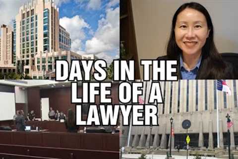 Days in the Life of a Family Lawyer. Attorney goes to Court. Custody &amp; Divorce Law