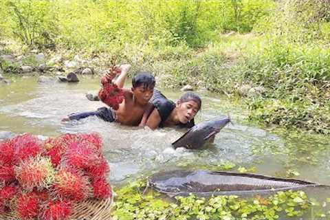 Survival in forest: Catch big catfish in river for food - Big fish spicy roasted for dinner