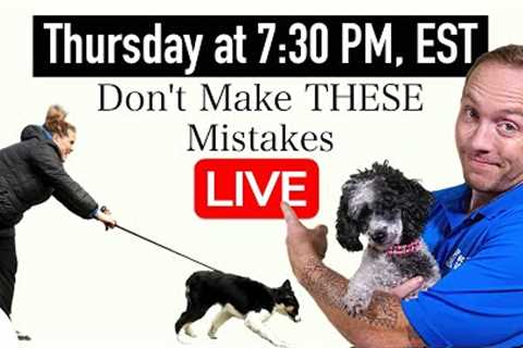 5 COMMON Training Mistakes That New Dog Owners Make!
