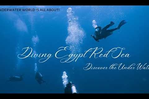 SCUBA Diving Egypt Red Sea: Explore Uncharted Waters