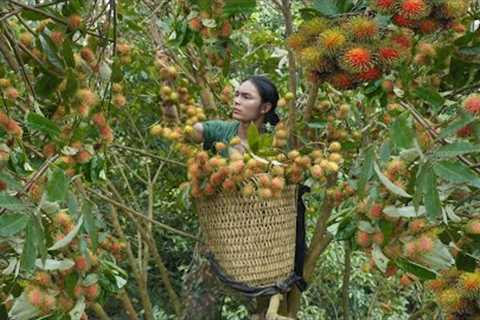 Harvest forest fruits, bring them to the market to sell, survival alone