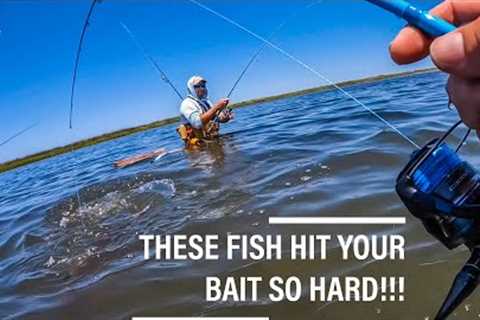 THIS IS THE KIND OF FISHING EVERY FISHERMAN HOPES FOR!!!