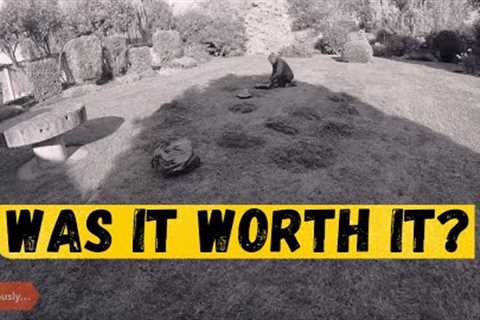 Scarifying And Aerating REALLY Help To Keep Your Lawn Healthy