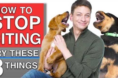 How To Train Your Puppy to STOP BITING You! 3 Proven Techniques That WILL Work!