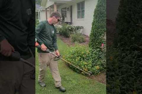 Lawn Edging Like a BOSS!