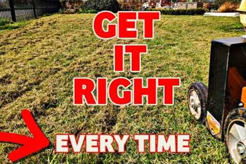 Getting the basics right for a great lawn renovation