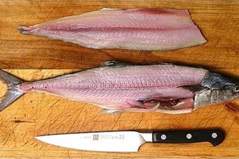 How to Fillet a Fish
