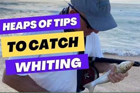 Great TIPS | Beach Whiting Fishing