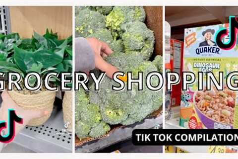 [TIKTOK COMPILATION ASMR] GROCERY SHOPPING &amp; RESTOCKING #21