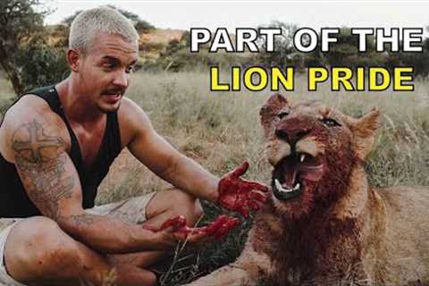 Part of the Lion Pride - Dean Schneider living with lions