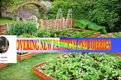 DISCOVERING NEW PASSIONS AND HOBBIES