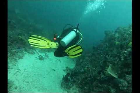 Scuba Diving in Batangas Philippines 2023 Anilao Mabini #travel #travelvlog #diving #scubadiving
