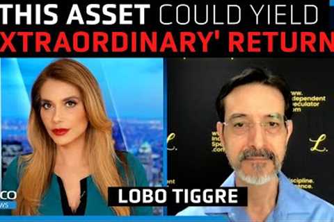 Fed will cut in 2023 as ‘panic’ sets in, gold will soar but this will yield better returns - Tiggre
