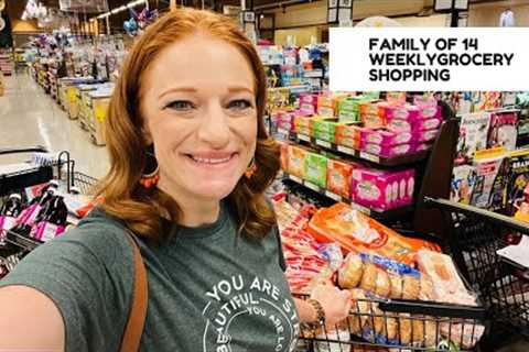 FAMILY OF 14 WEEKLY GROCERY SHOPPING **And Restock**