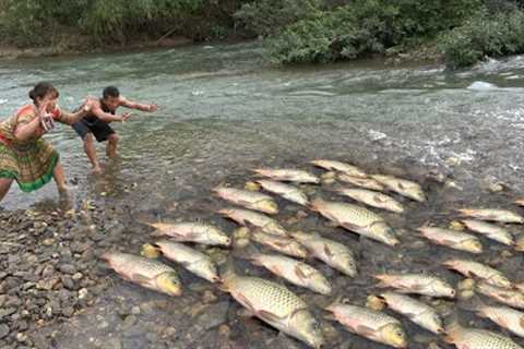 Top 5 Video Primitive Life, Full Video Survival Skills Living Wild In The Forest, Catch Many Fish