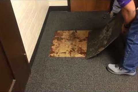 Carpet tile replacement