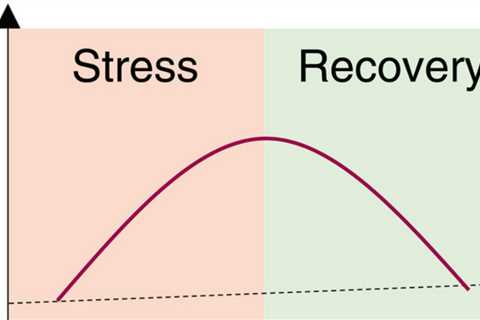 Stress increases biological age and is restored after recovery