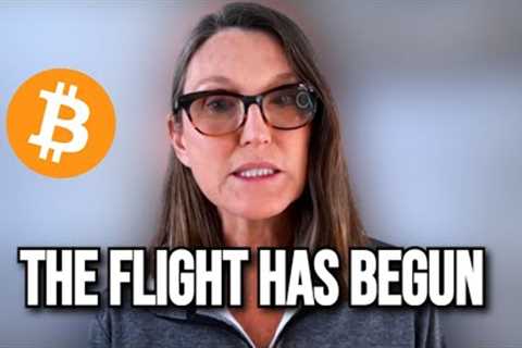 Cathie Wood -  Why Bitcoin Is Becoming The Go-To Investment For Everyone