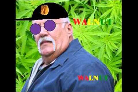 Fred Herbert teaches people about the Bail Bond business at 2 AM
