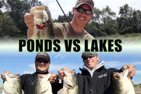 Pond Fishing VS Lake Fishing - Q&amp;A with LakeForkGuy