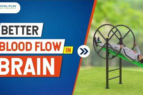 Better Blood Flow in Brain | GE71 Inversion Machine | Out Door Gym Equipment | Garden gym Equipment