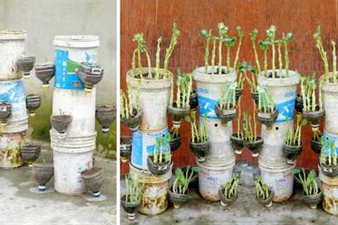 Unique Creation With Vegetable Garden With Recycled Plastic, Simple And Easy