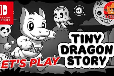 LET'S PLAY TINY DRAGON STORY on Nintendo Switch Performance Review