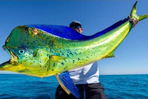 GIANT Deep Sea Mahi Mahi! Catch Clean Cook (Puerto Vallarta, Mexico)