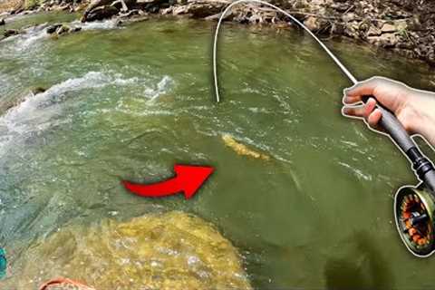 Fly Fishing for BIG Brown trout and BREAKING an Expensive Rod!
