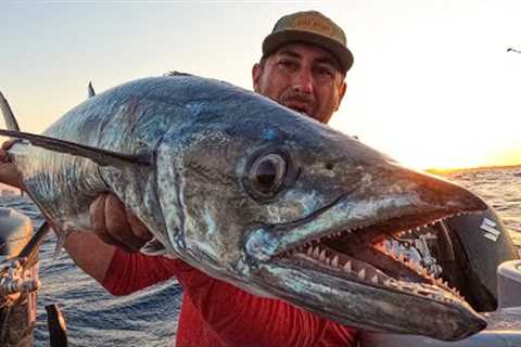 THIS FISH SAVED THE DAY! {Catch Clean Cook} Sweet n' Smokey Kingfish