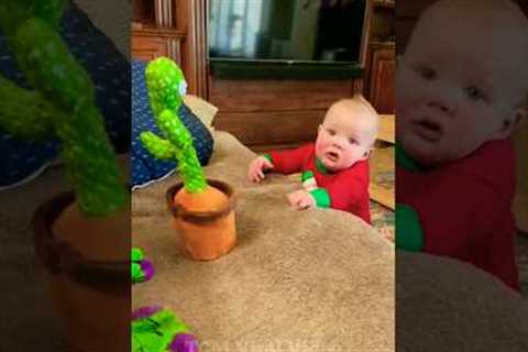 cute baby funny video 😍🤭 #cutebaby #baby #shorts #funny #status