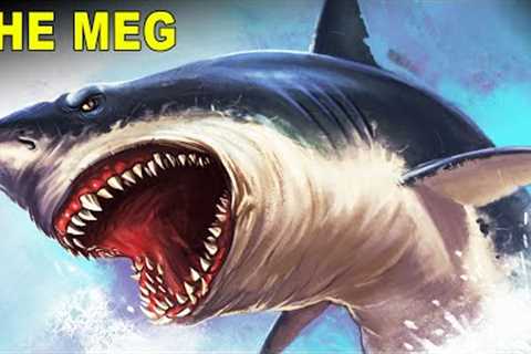 The Megalodon, A Prehistoric Giant Shark That Ruled the Seven Seas