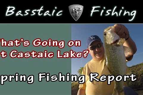 What's Going On at Castaic Lake? (A Spring Bass Fishing Report)